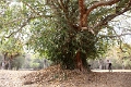 44_ angkor_wat_024